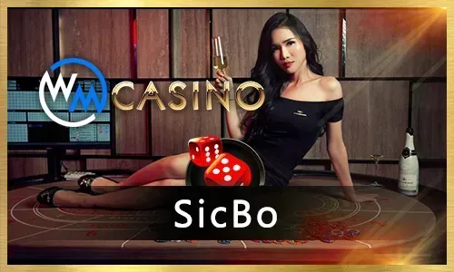 Various table games with Microgaming logo at 24